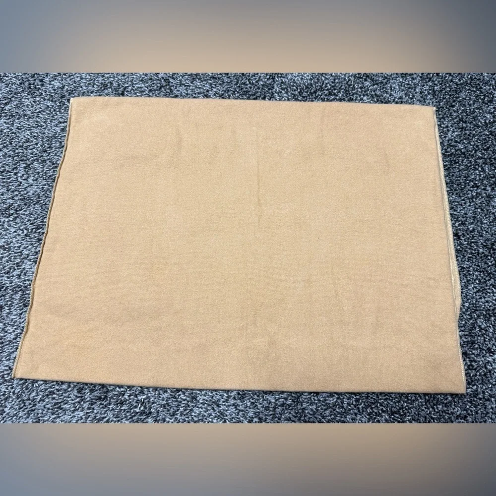 Louis Vuitton dust bag